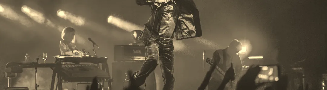 Pulp