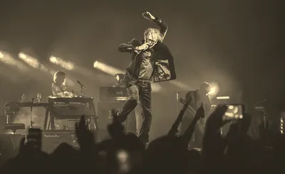 Pulp
